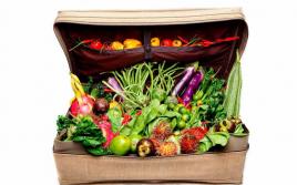 Как перевозить фрукты в багажном отделении самолета Как правильно вывозить фрукты из кипра