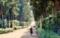 Сады Боболи Во Флоренции — Что Знать Перед Посещением День 3 й сады боболи