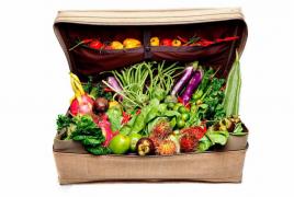 Как перевозить фрукты в багажном отделении самолета Как правильно вывозить фрукты из кипра